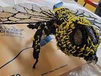 3Doodler-Bee-Sheboygan-South-High-School-2