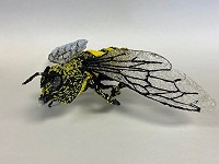 3Doodler-Bee-Sheboygan-South-High-School-3