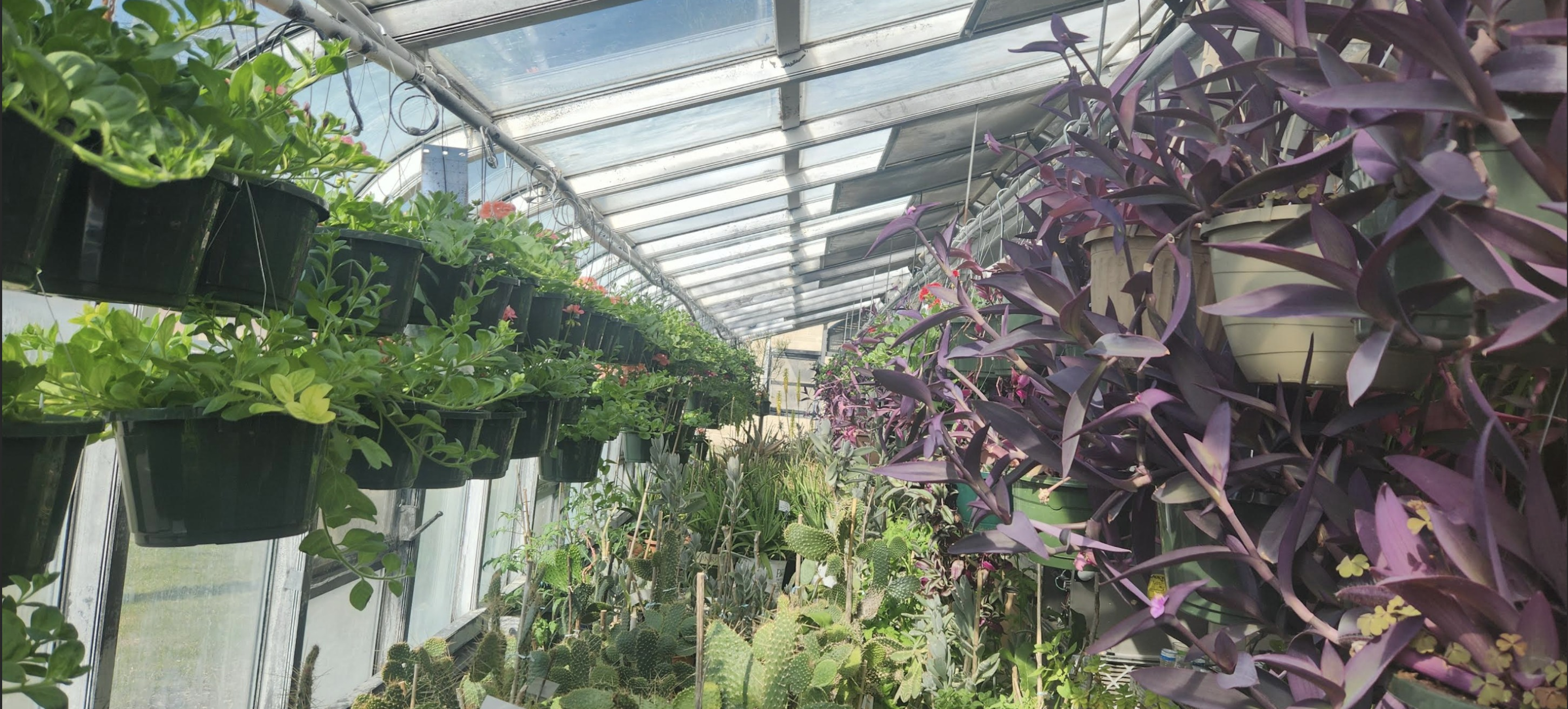Flower Baskets