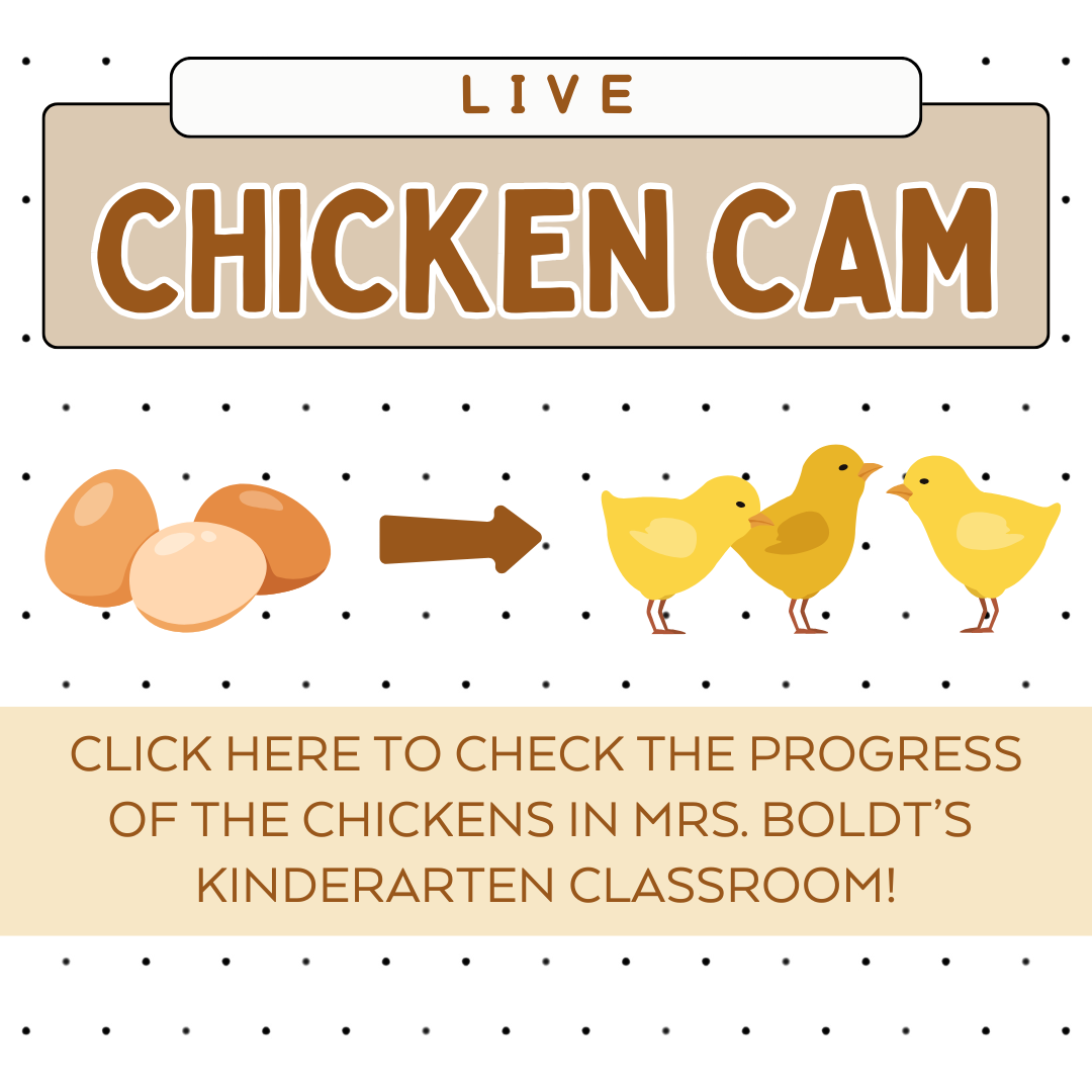 Longfellow chicken cam