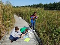 students take notes during a marsh field trip