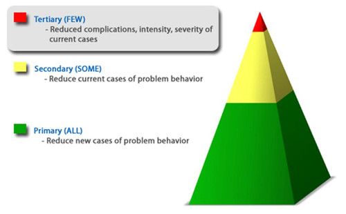 Positive Behavioral Interventions & Supports Tier 3 Chart