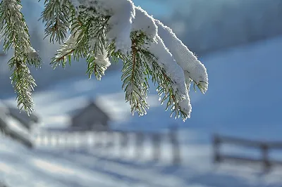 Horace Mann Snow Day Plan